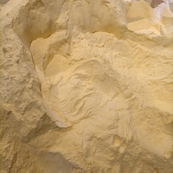 Tub of bovine colostrum powder standardized to 40 percent IgG, 150g